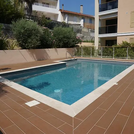 Palm With A Pool In The Apartment