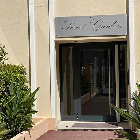 Palm With A Pool In The